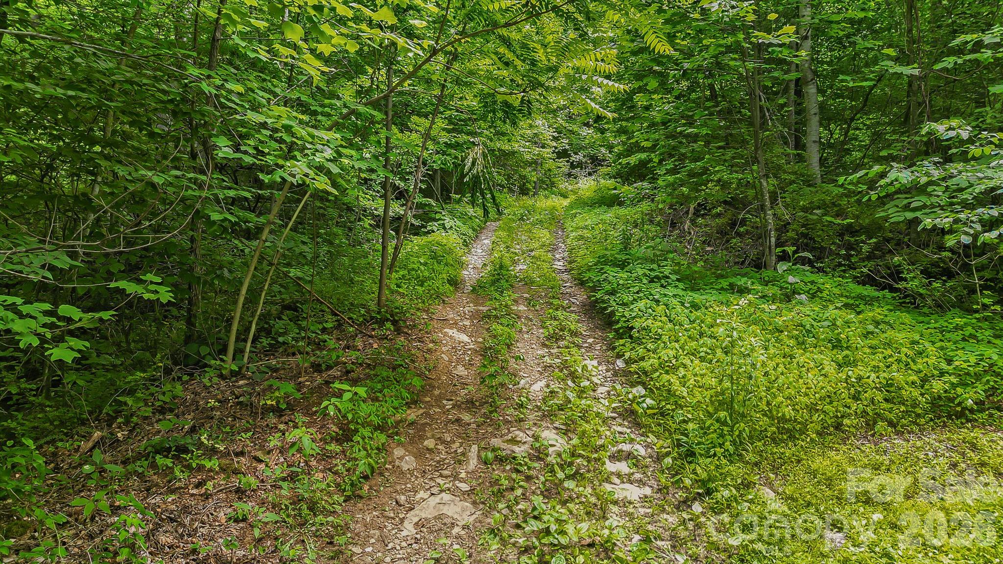 158 Sugar Cove Road
