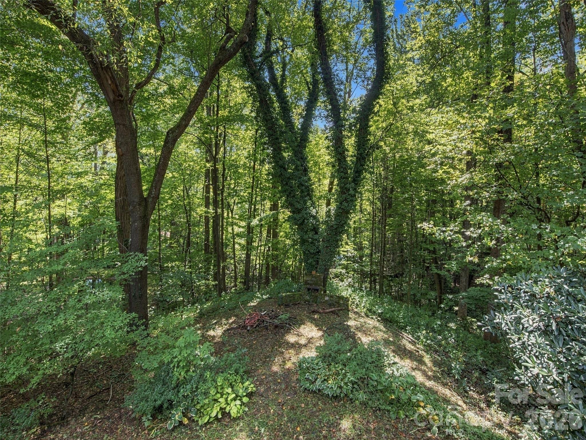 151 Tiger Lily Lane