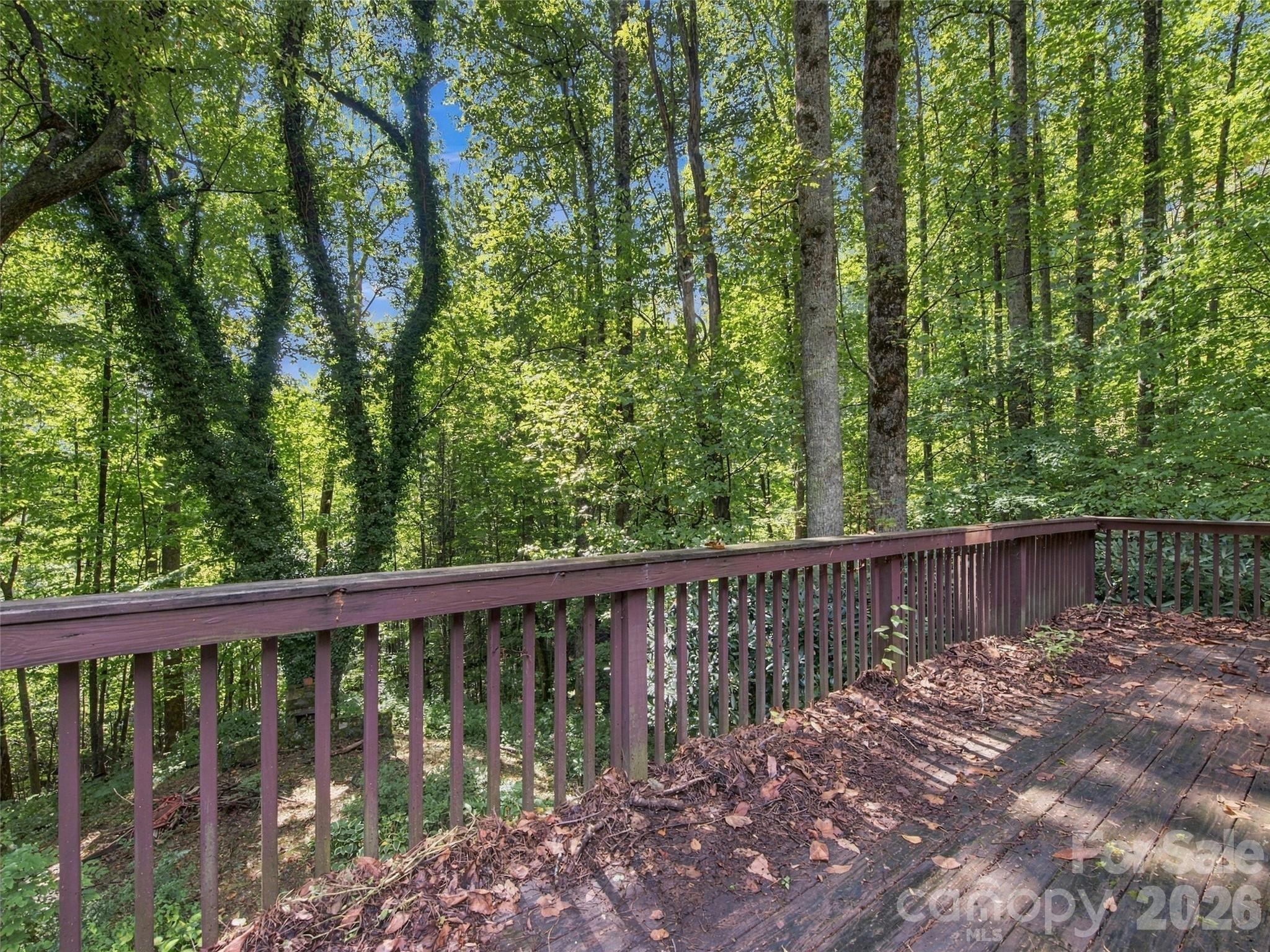 151 Tiger Lily Lane
