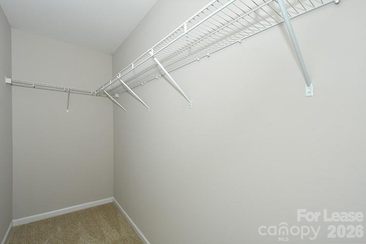 104 Trissy Court