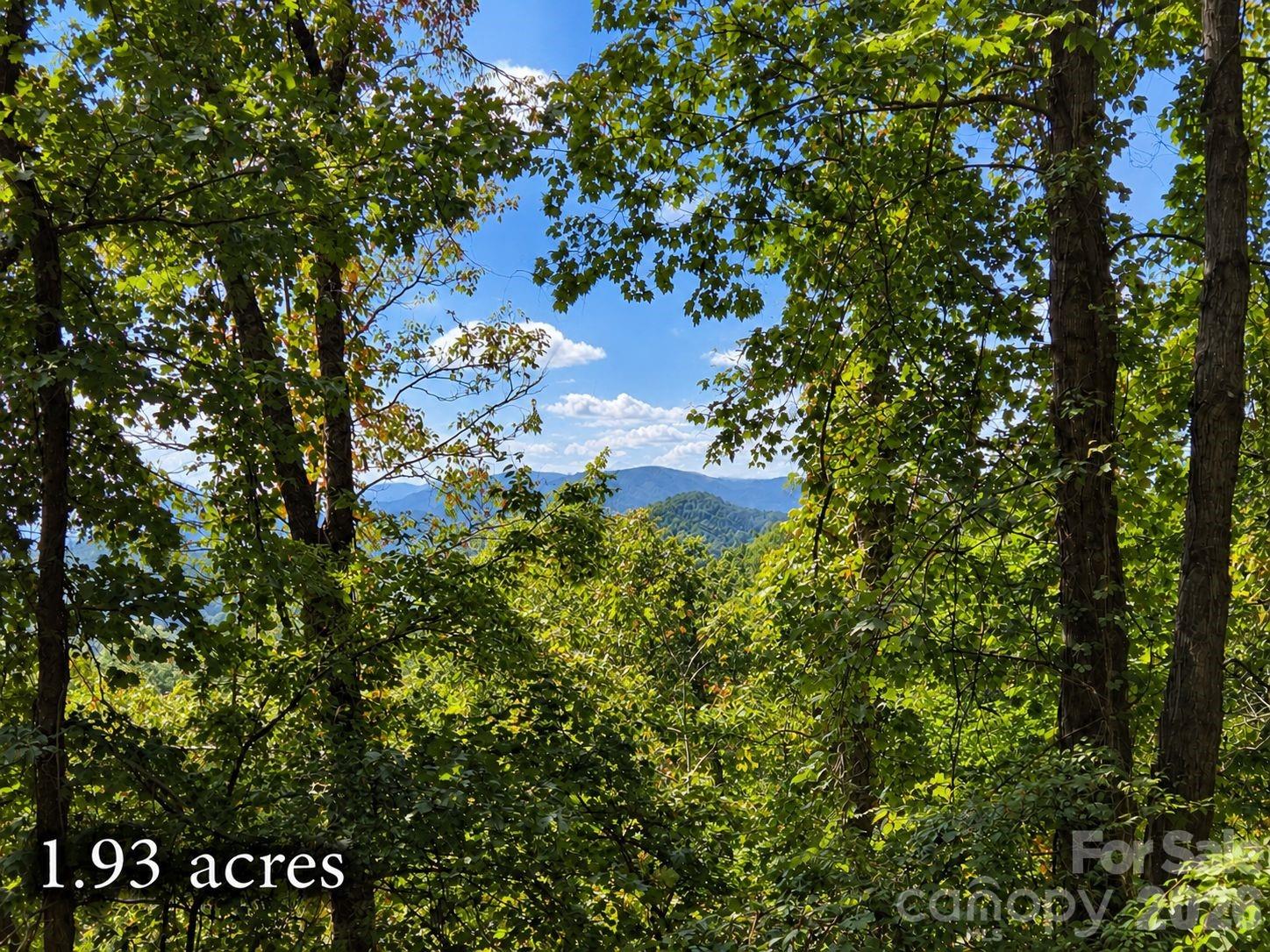81 Dove Crest Lane Unit: 18 & 33