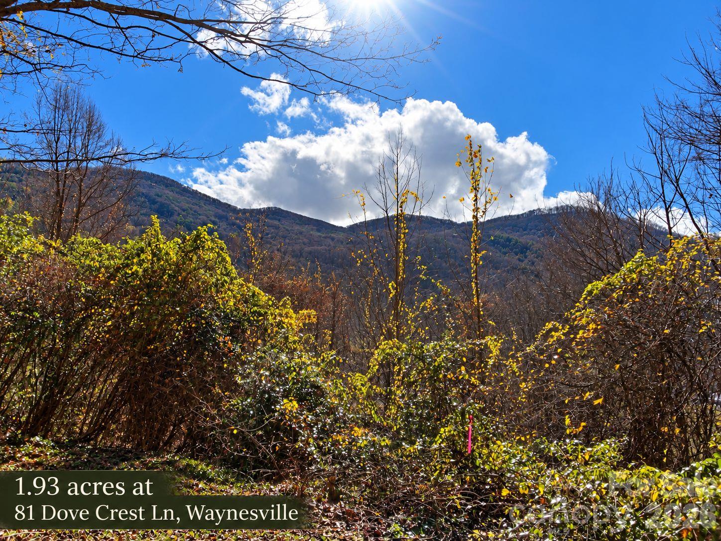 Wooded acreage in Waynesville with autumn foliage and mountain views.
