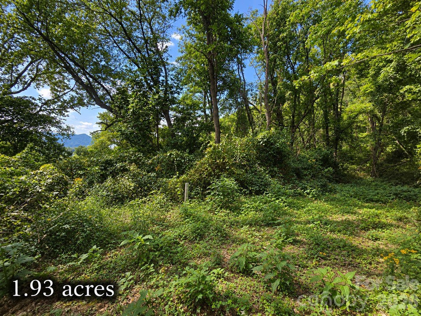81 Dove Crest Lane Unit: 18 & 33