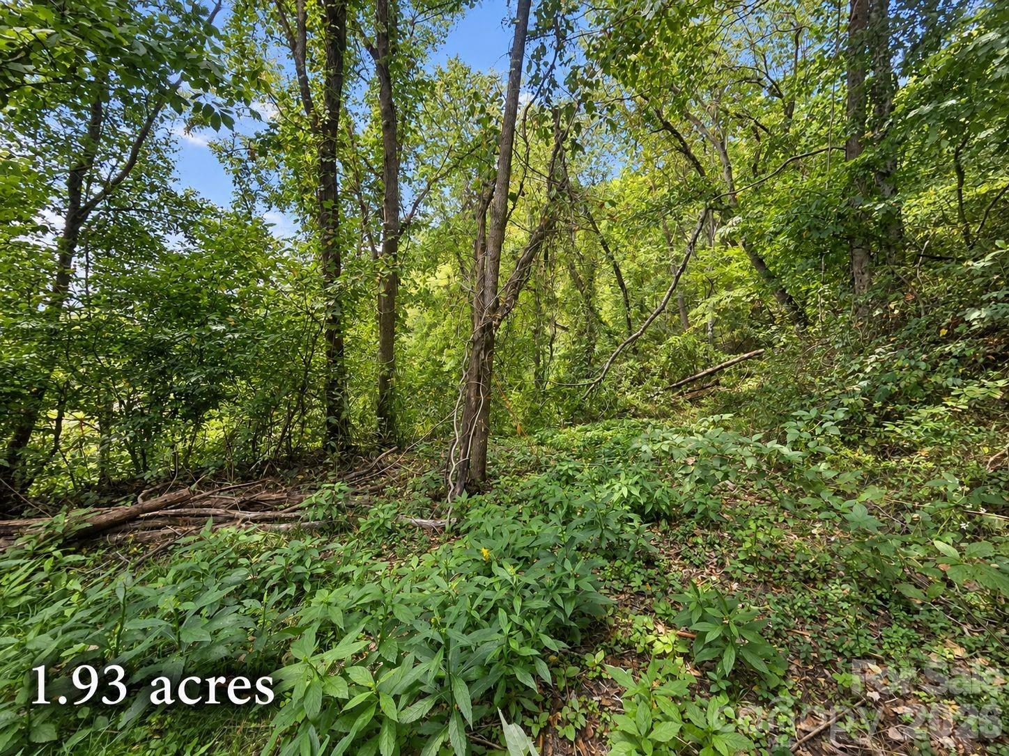 81 Dove Crest Lane Unit: 18 & 33