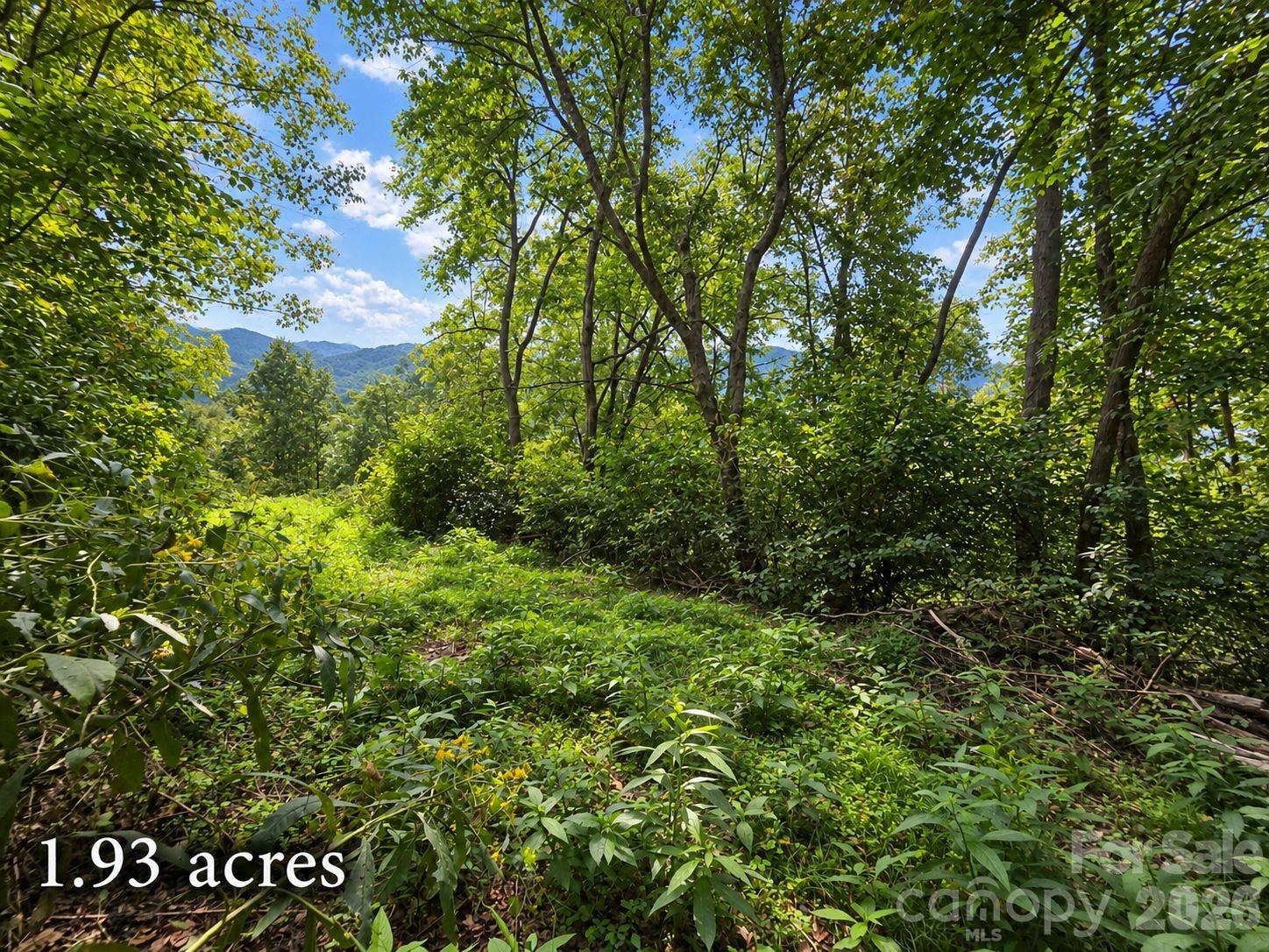 81 Dove Crest Lane Unit: 18 & 33