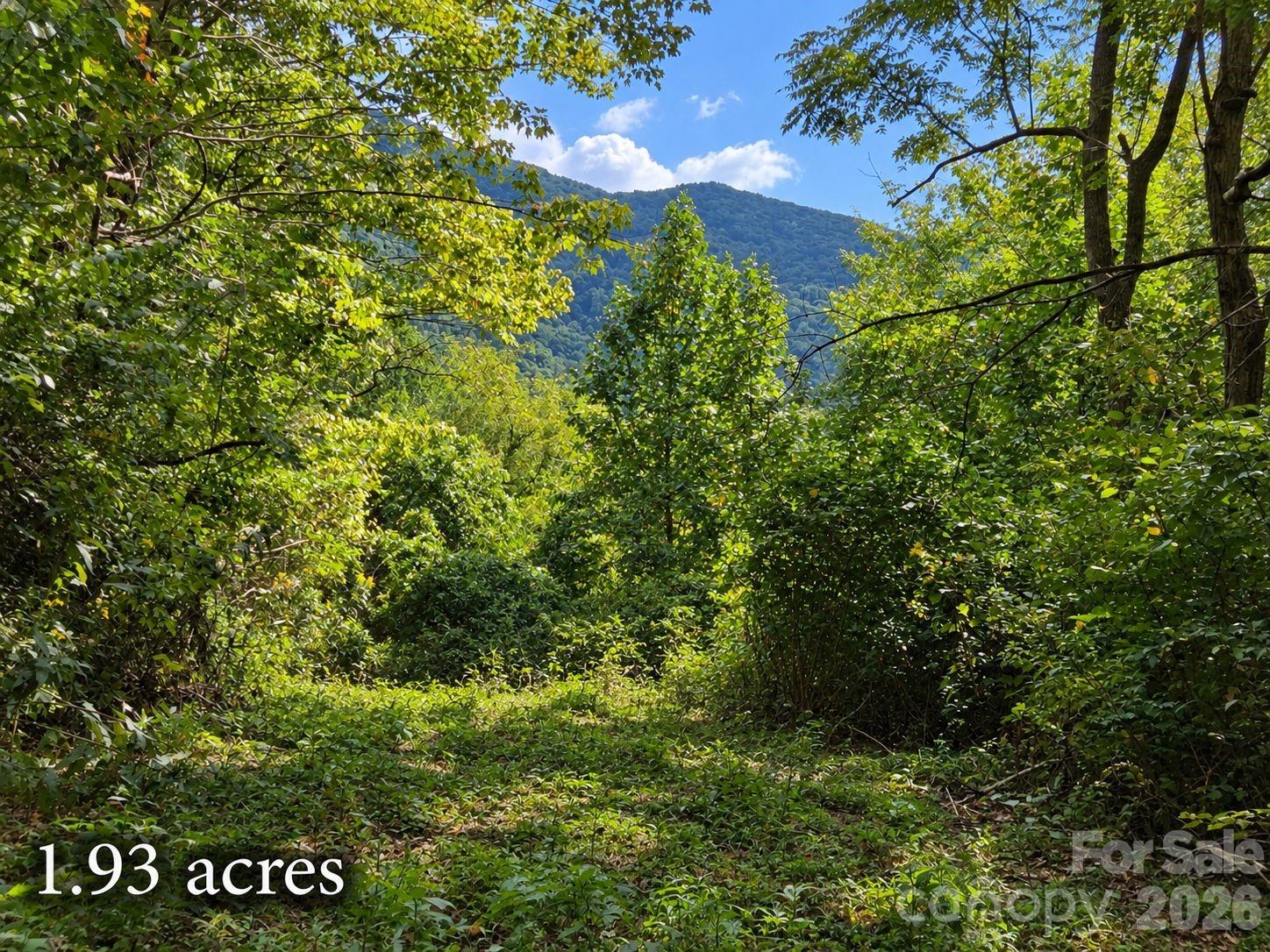 81 Dove Crest Lane Unit: 18 & 33