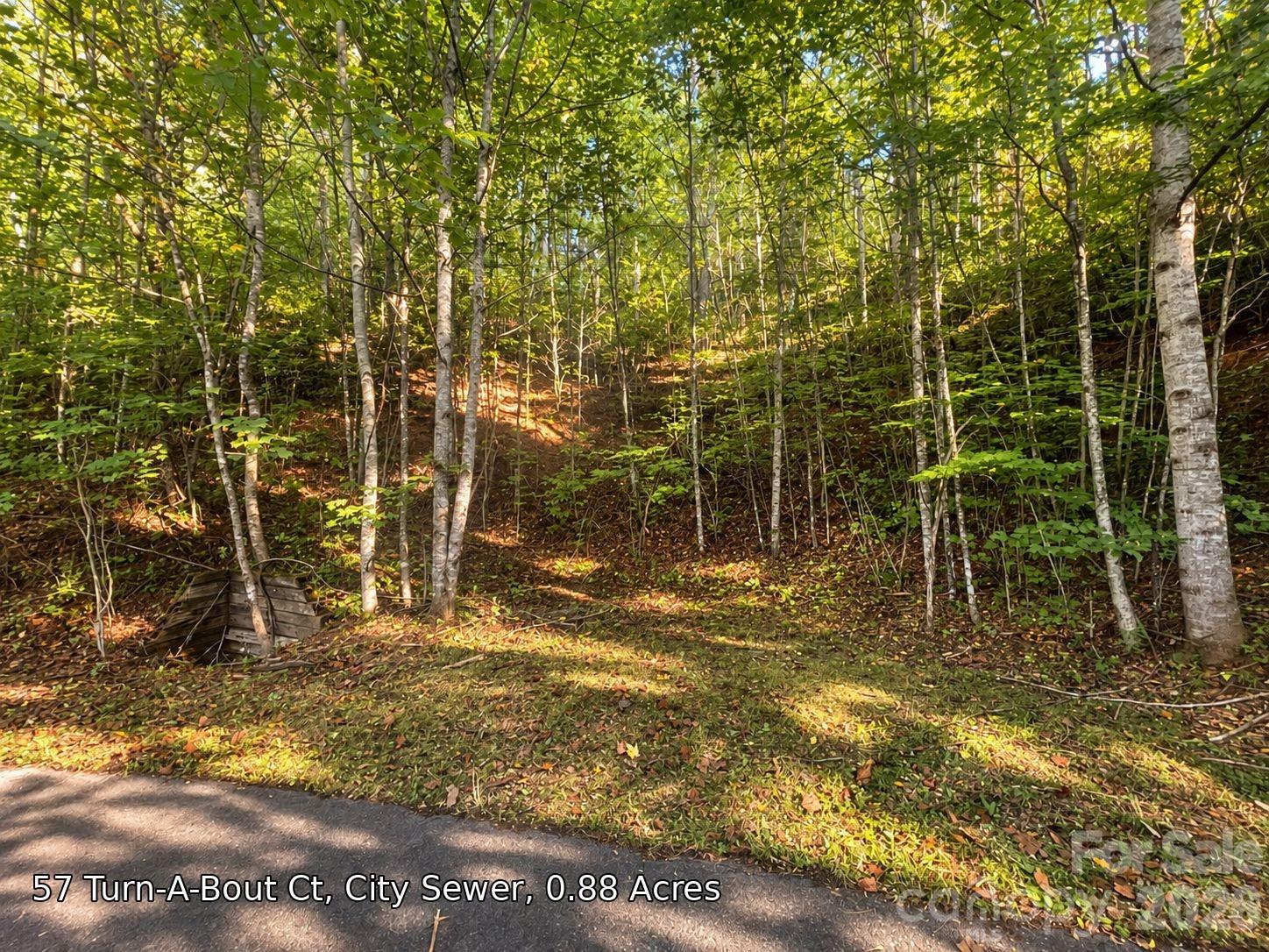 Wooded 0.88-acre lot beside a paved road, with dense trees and autumn leaves.