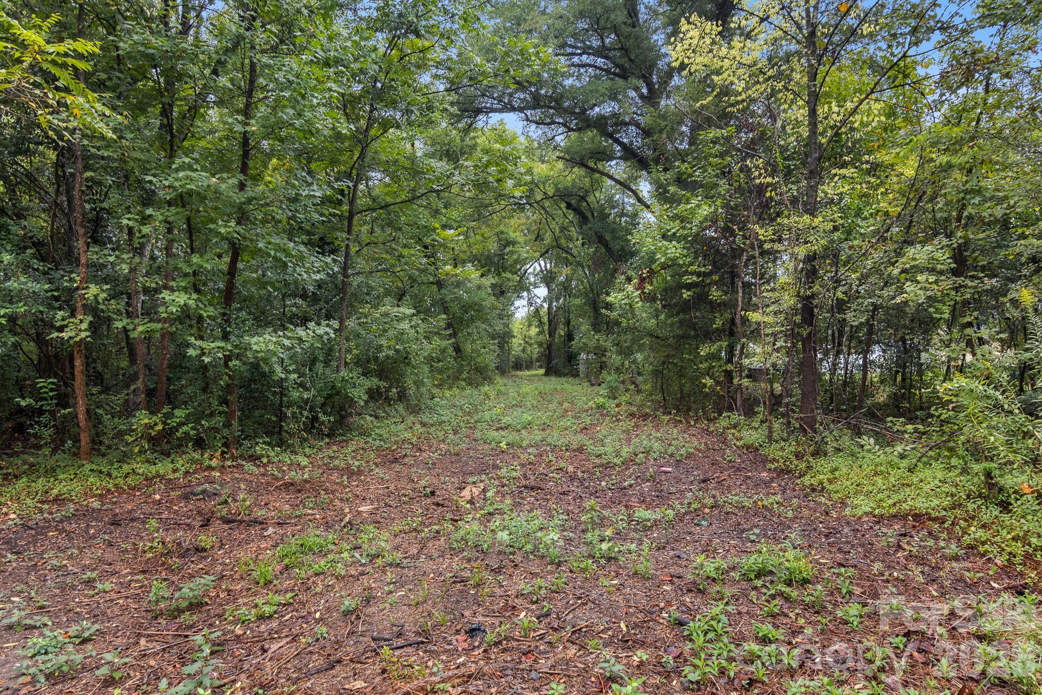 Wooded lot with a leaf-covered clearing beneath mature trees.
