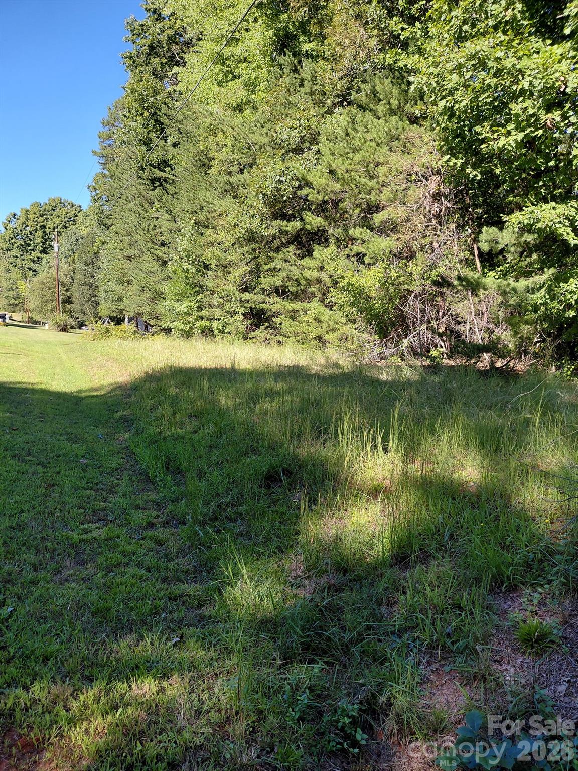 Grassy vacant lot bordered by dense trees, with a mown track and overhead utility line.