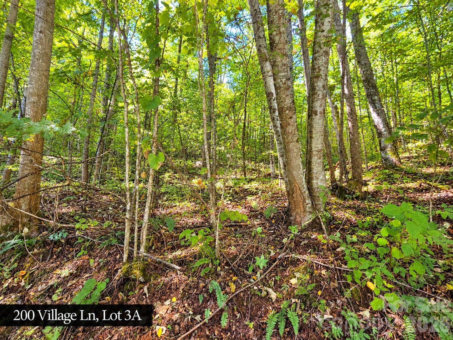 200 Village Lane Unit: 3A