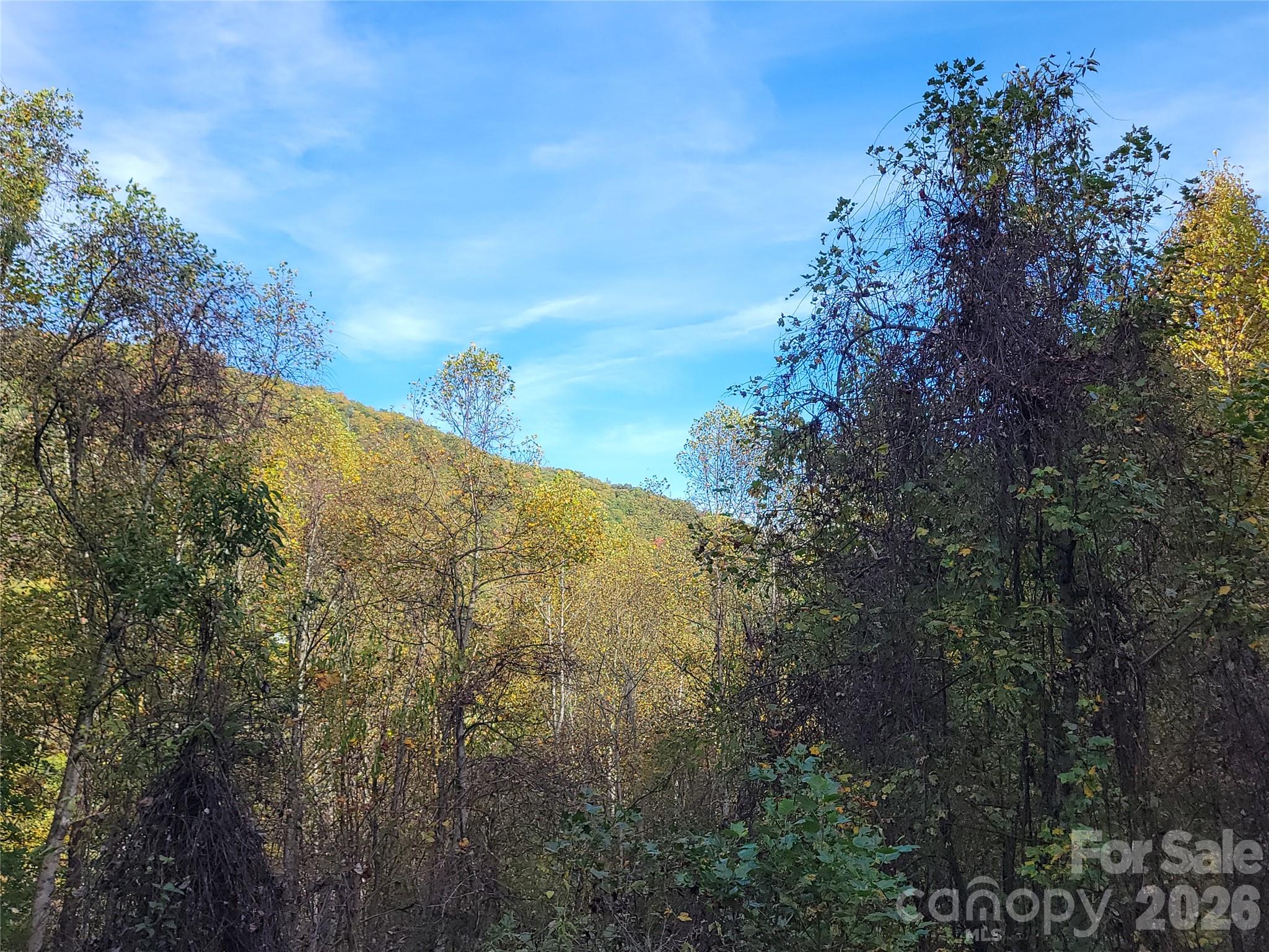 200 Village Lane Unit: 3A