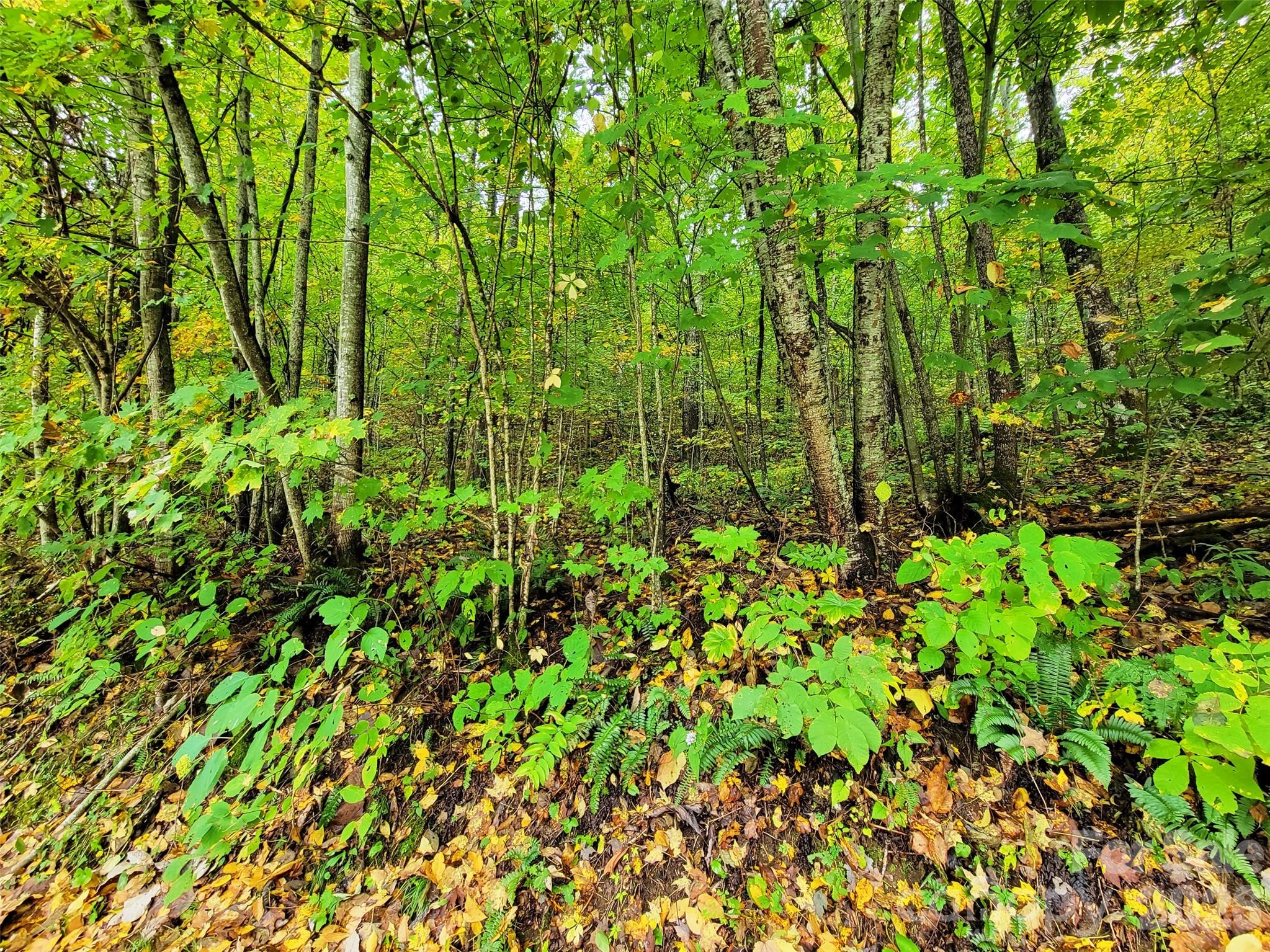 200 Village Lane Unit: 3A