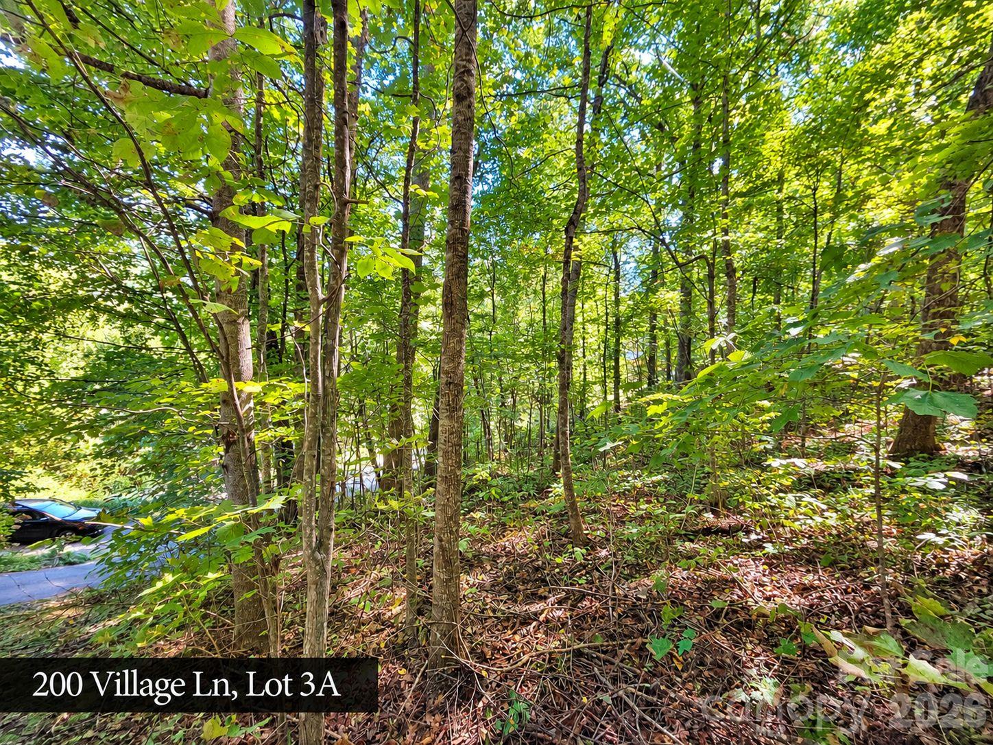 200 Village Lane Unit: 3A