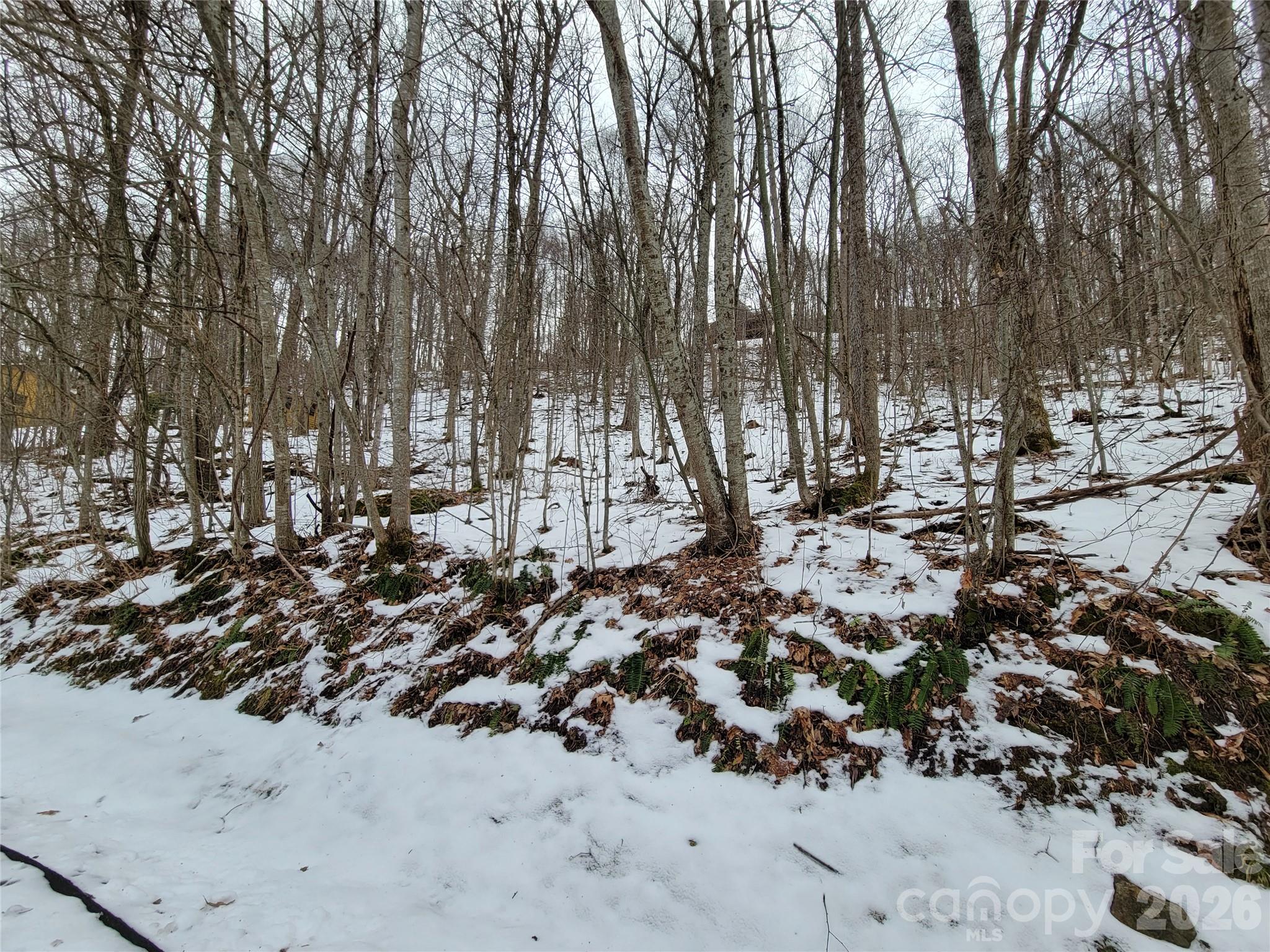200 Village Lane Unit: 3A