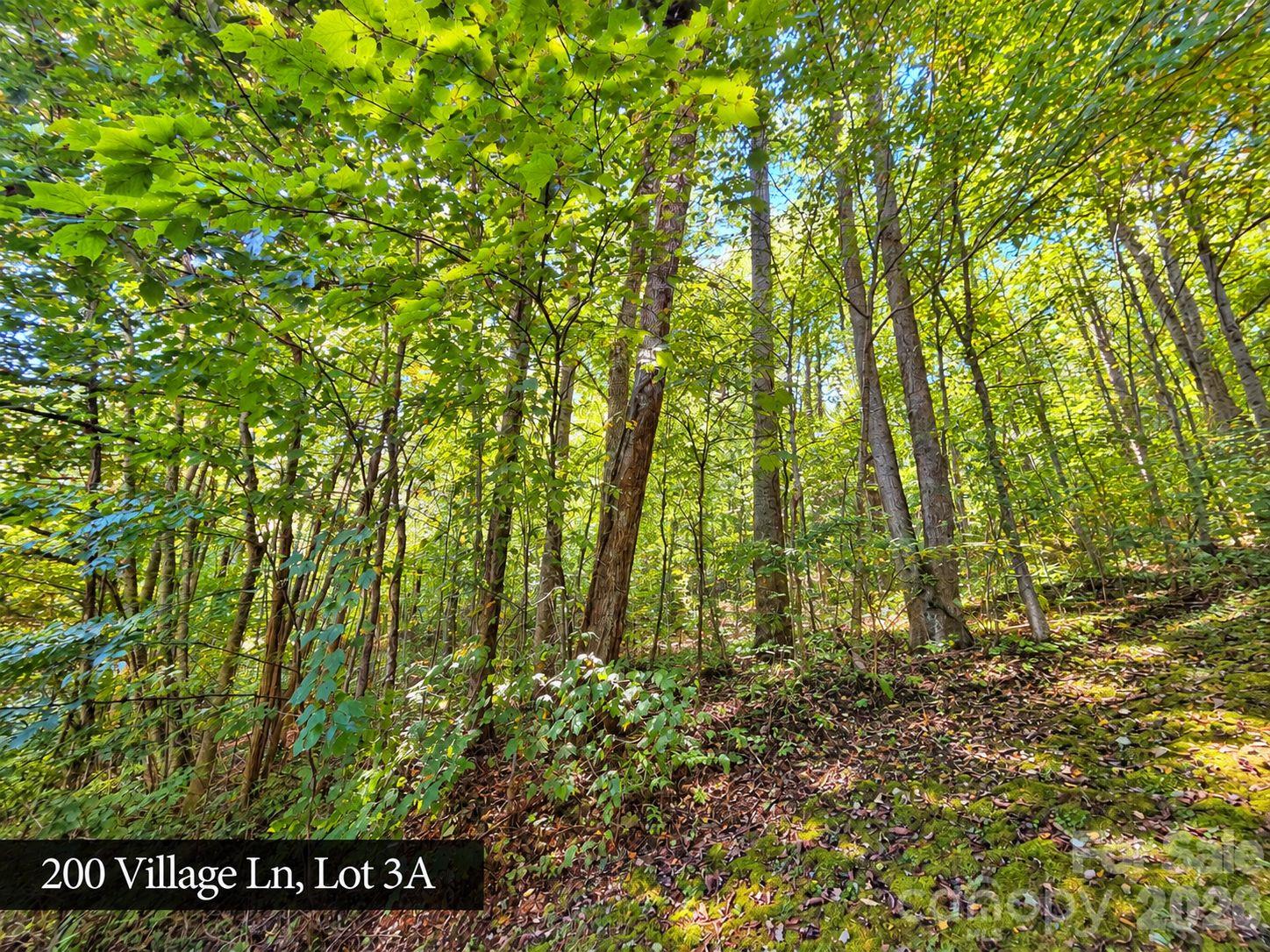 200 Village Lane Unit: 3A