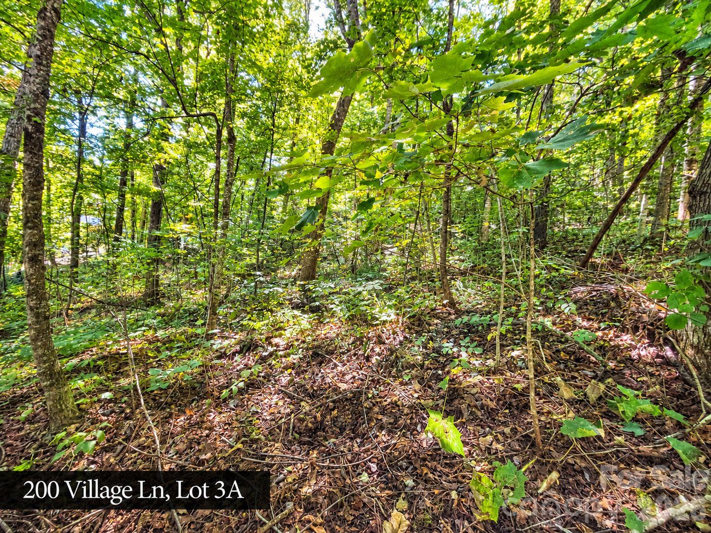 200 Village Lane Unit: 3A