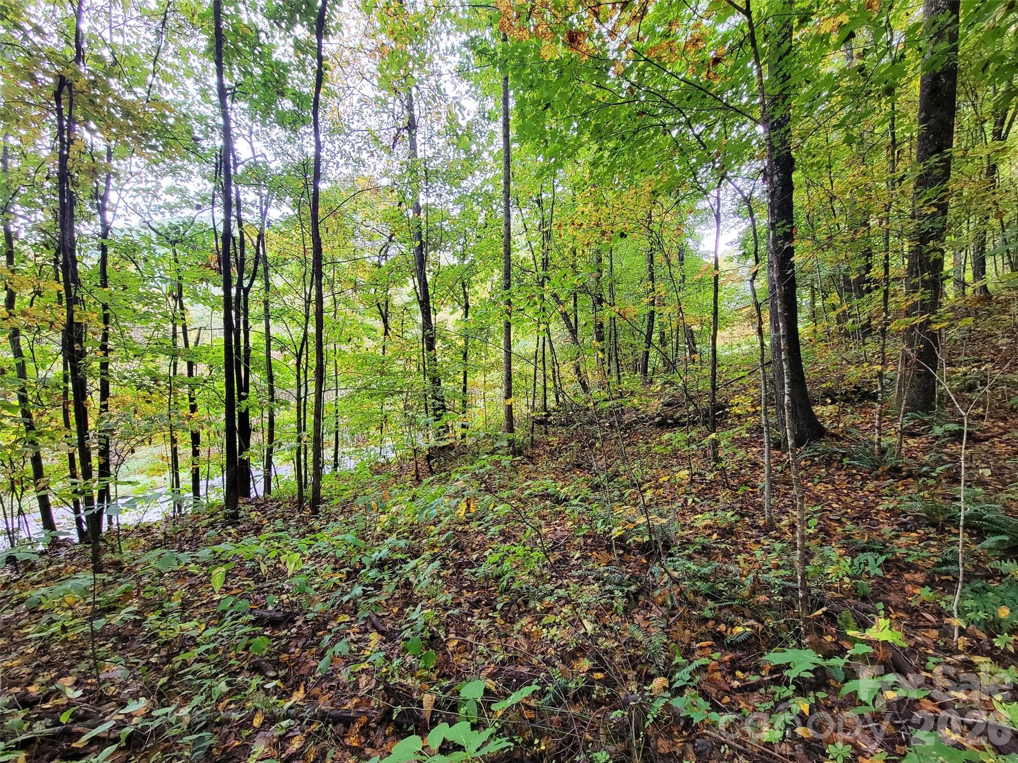 200 Village Lane Unit: 3A