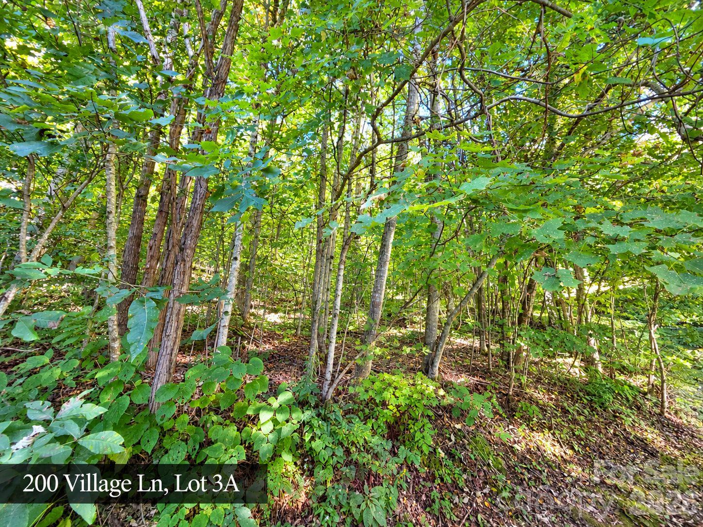 200 Village Lane Unit: 3A