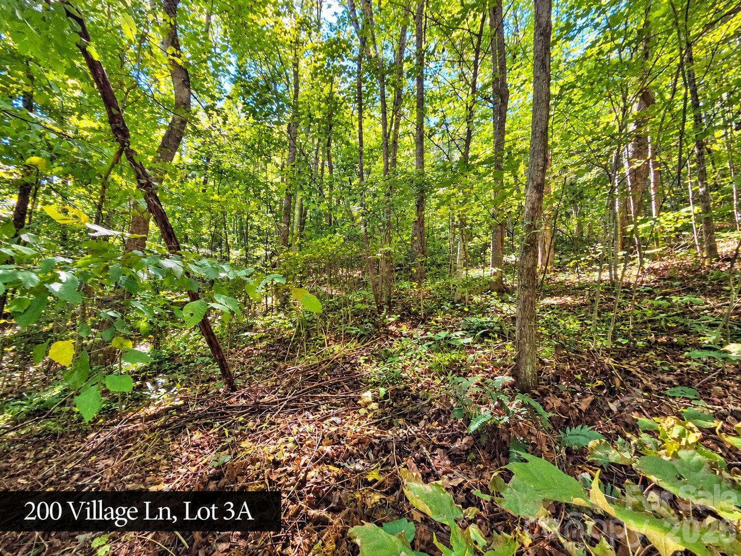 200 Village Lane Unit: 3A