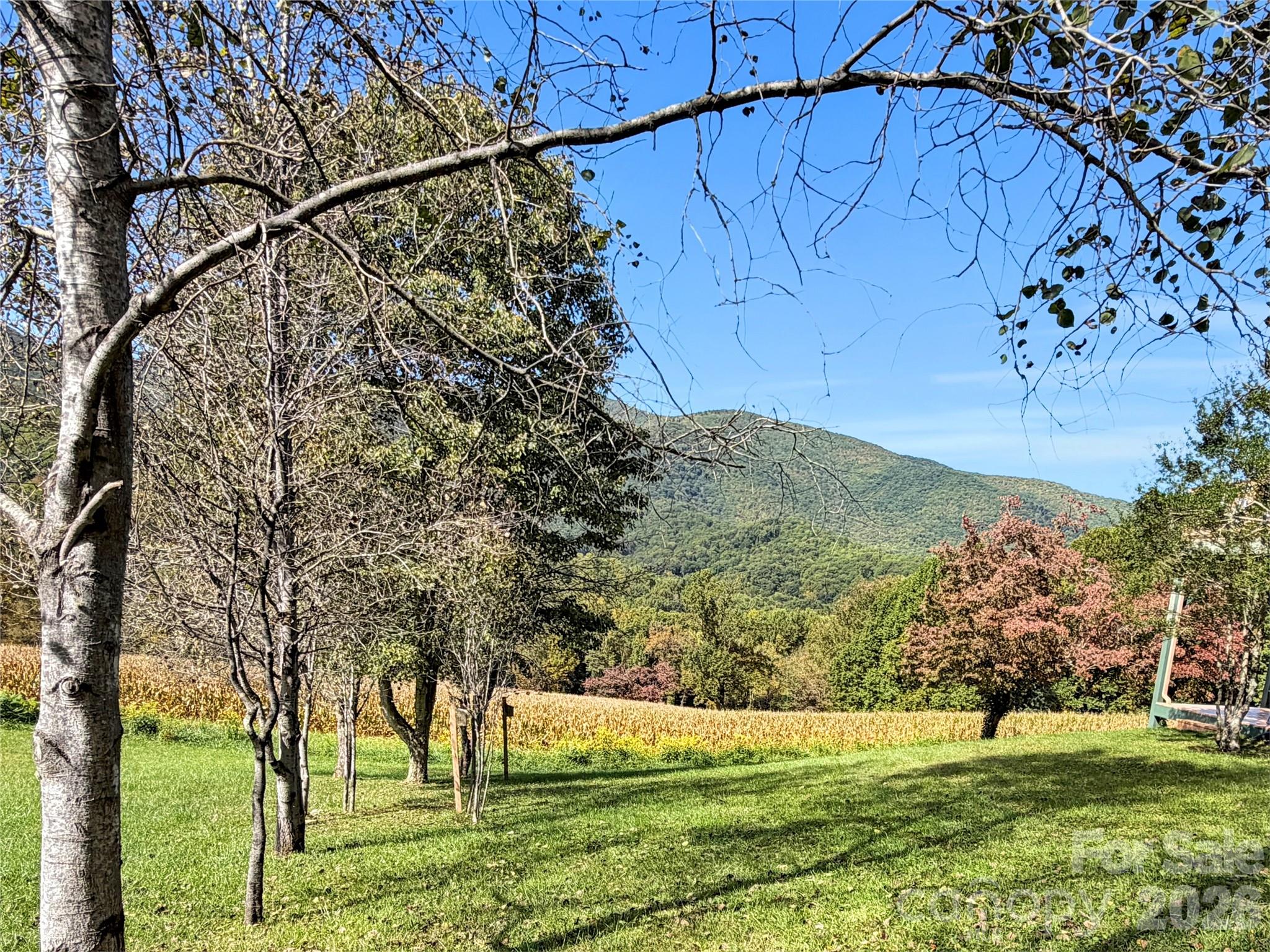 206 Sams Trail Unit: 15