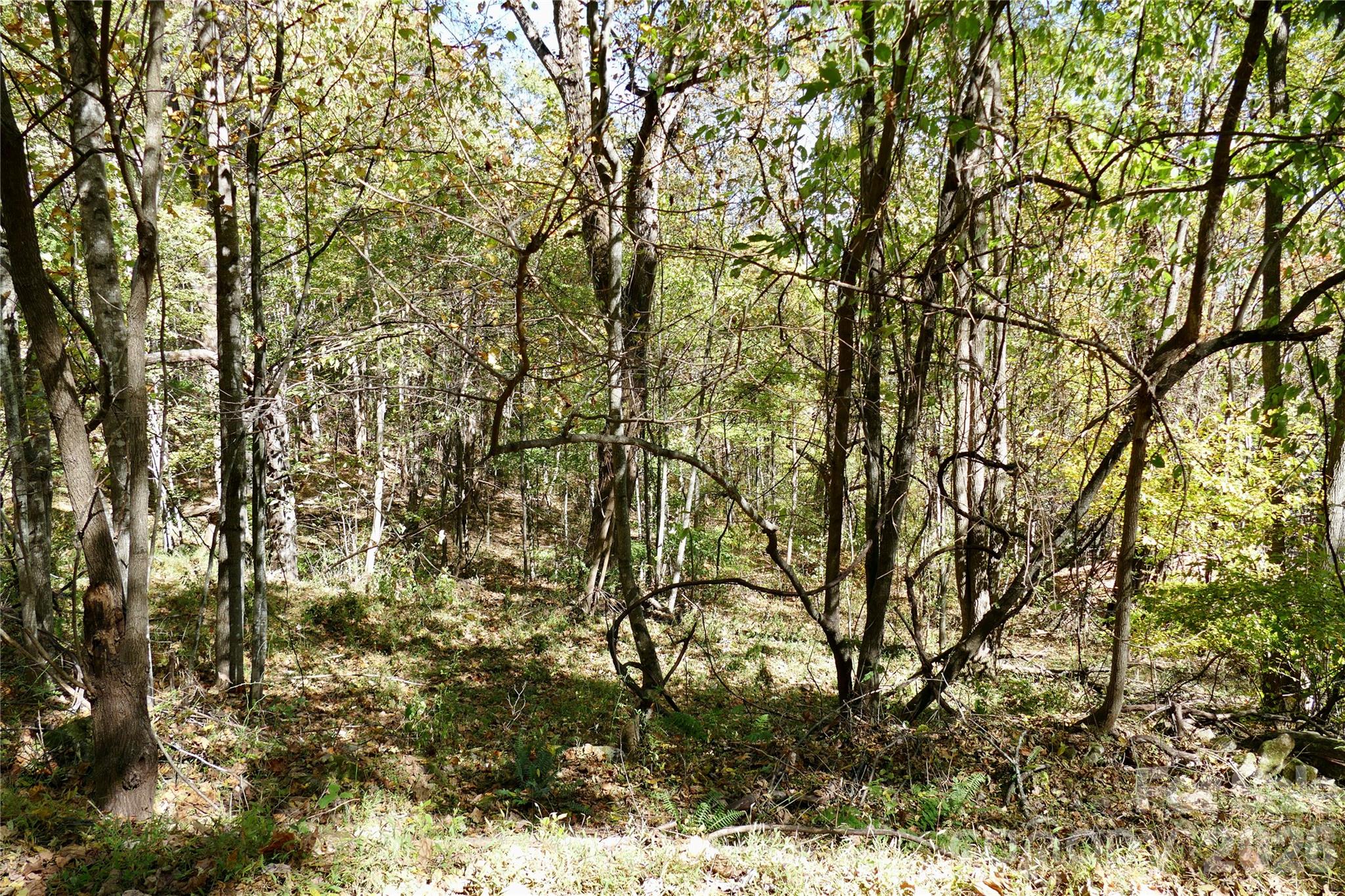 Lot 509 Multiflora Way Unit: 509
