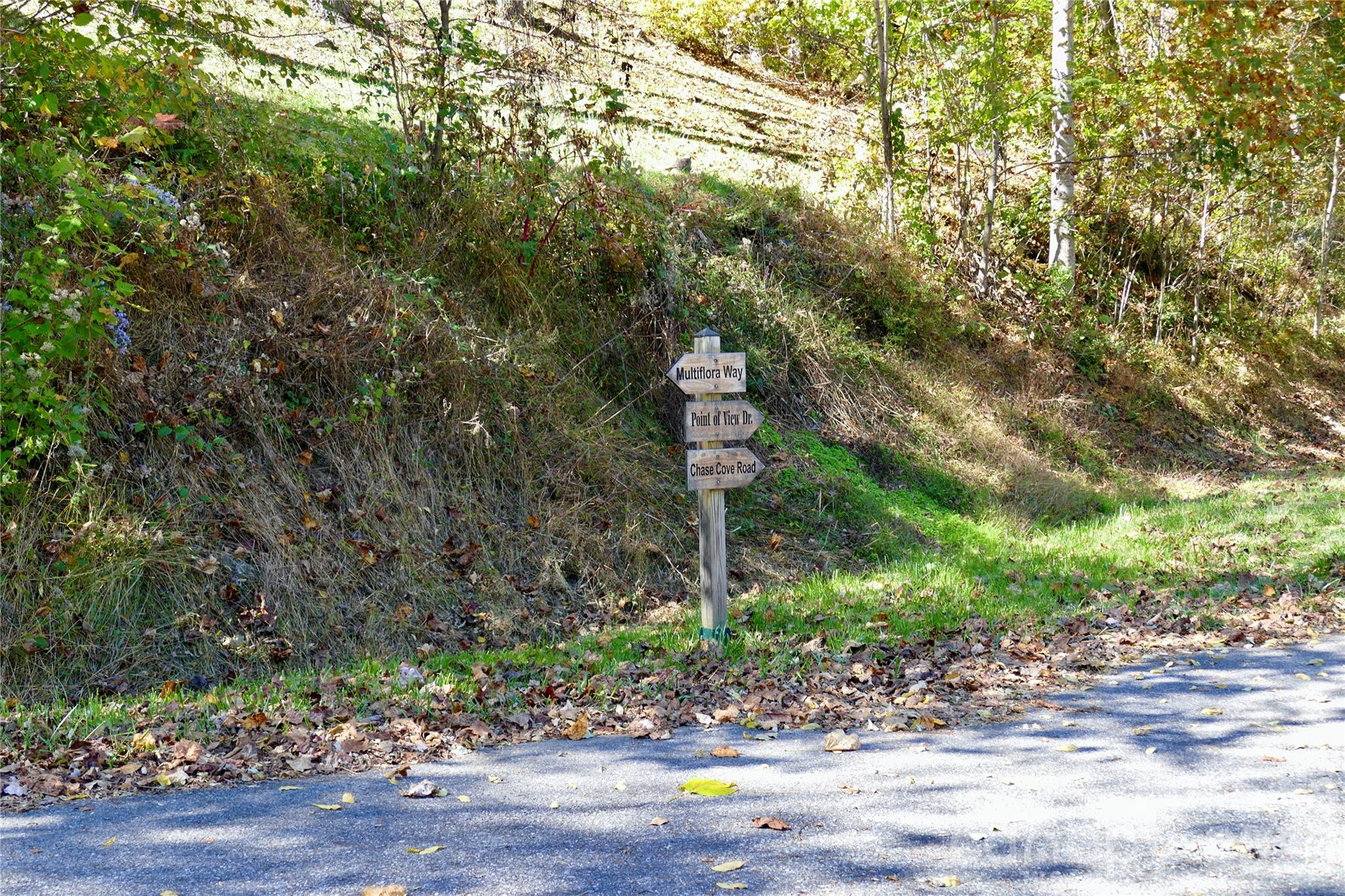 Lot 509 Multiflora Way Unit: 509