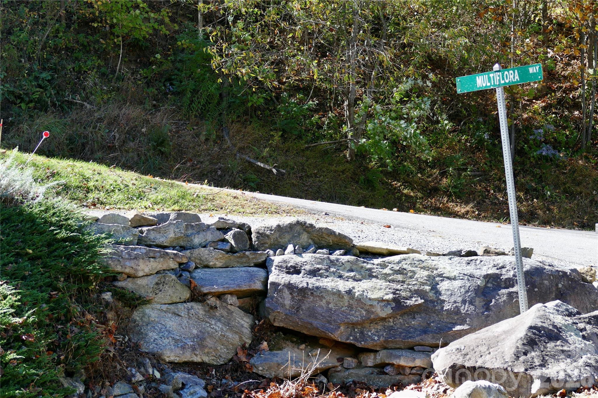 Lot 509 Multiflora Way Unit: 509