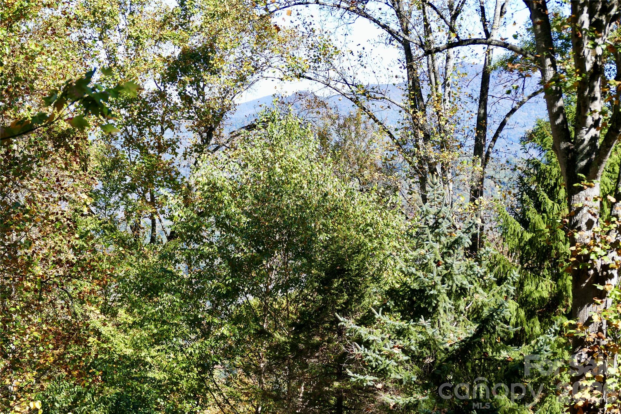 Lot 509 Multiflora Way Unit: 509
