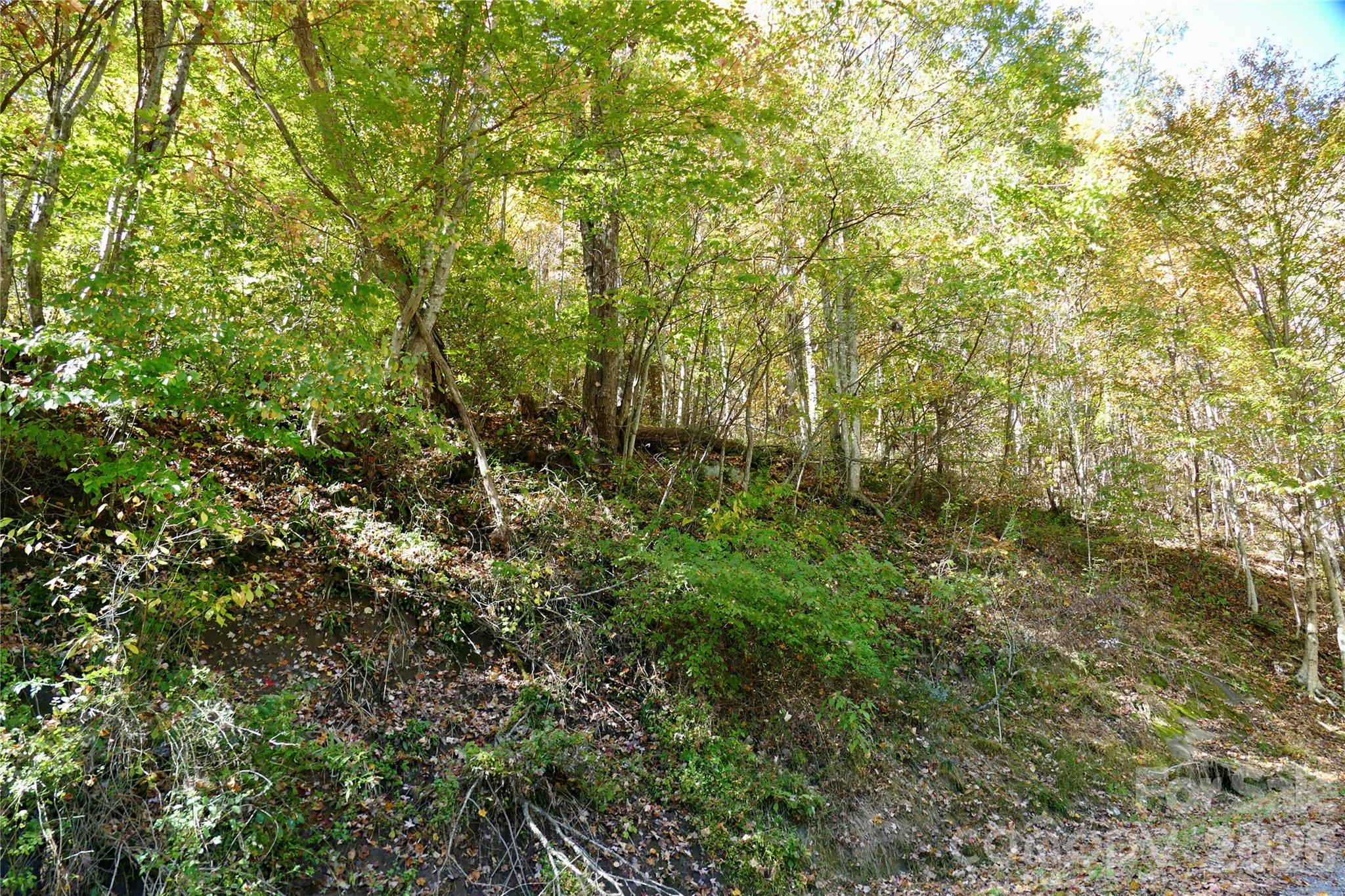 Lot 509 Multiflora Way Unit: 509