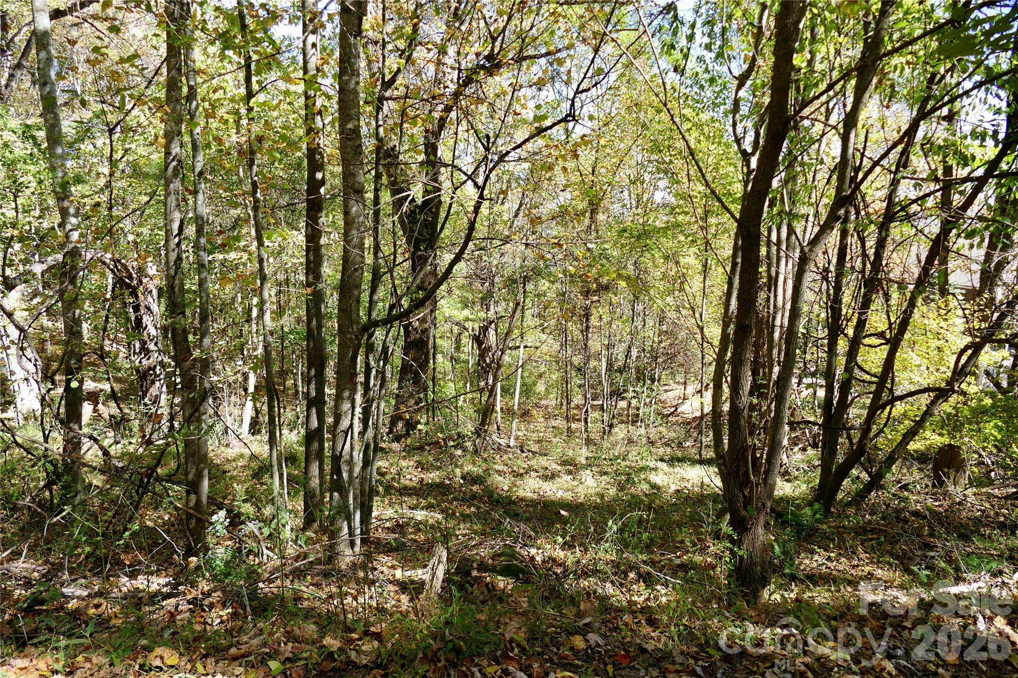 Lot 509 Multiflora Way Unit: 509
