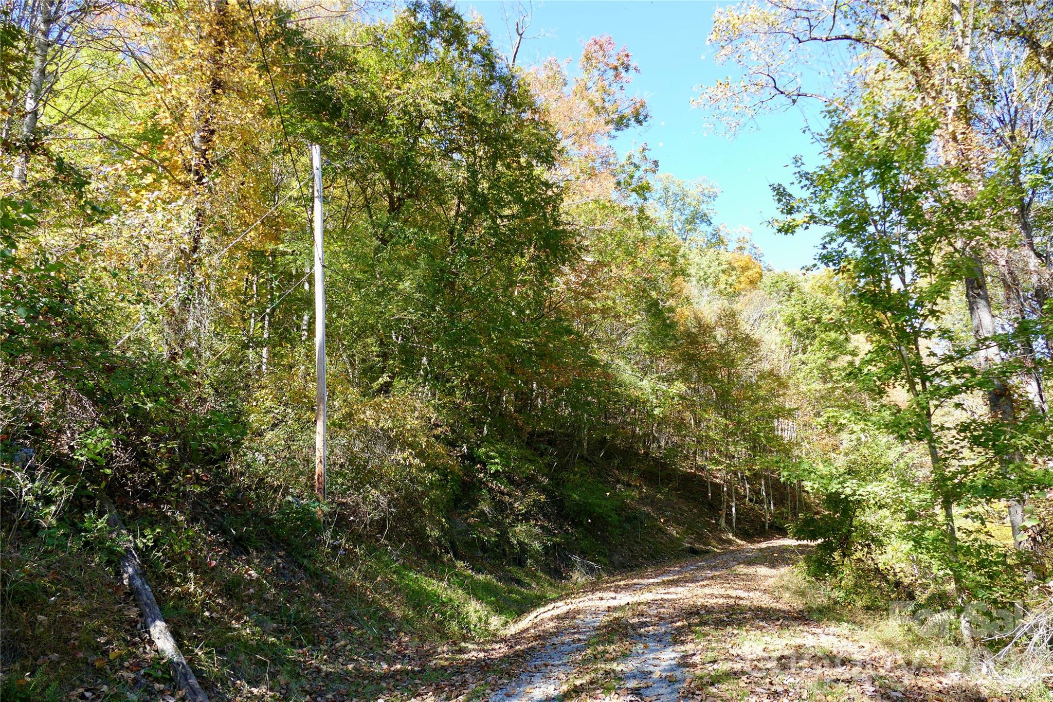 Lot 509 Multiflora Way Unit: 509