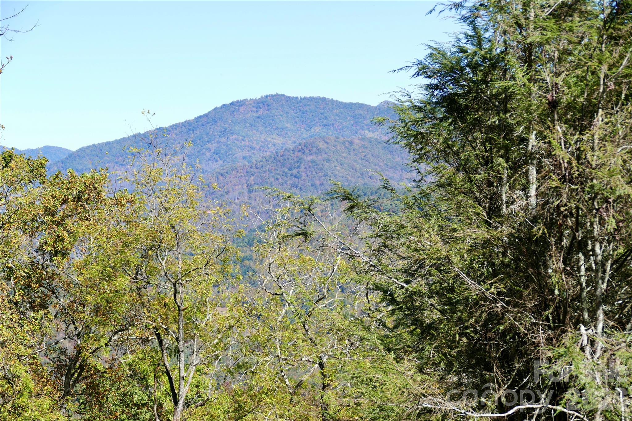 Lot 509 Multiflora Way Unit: 509