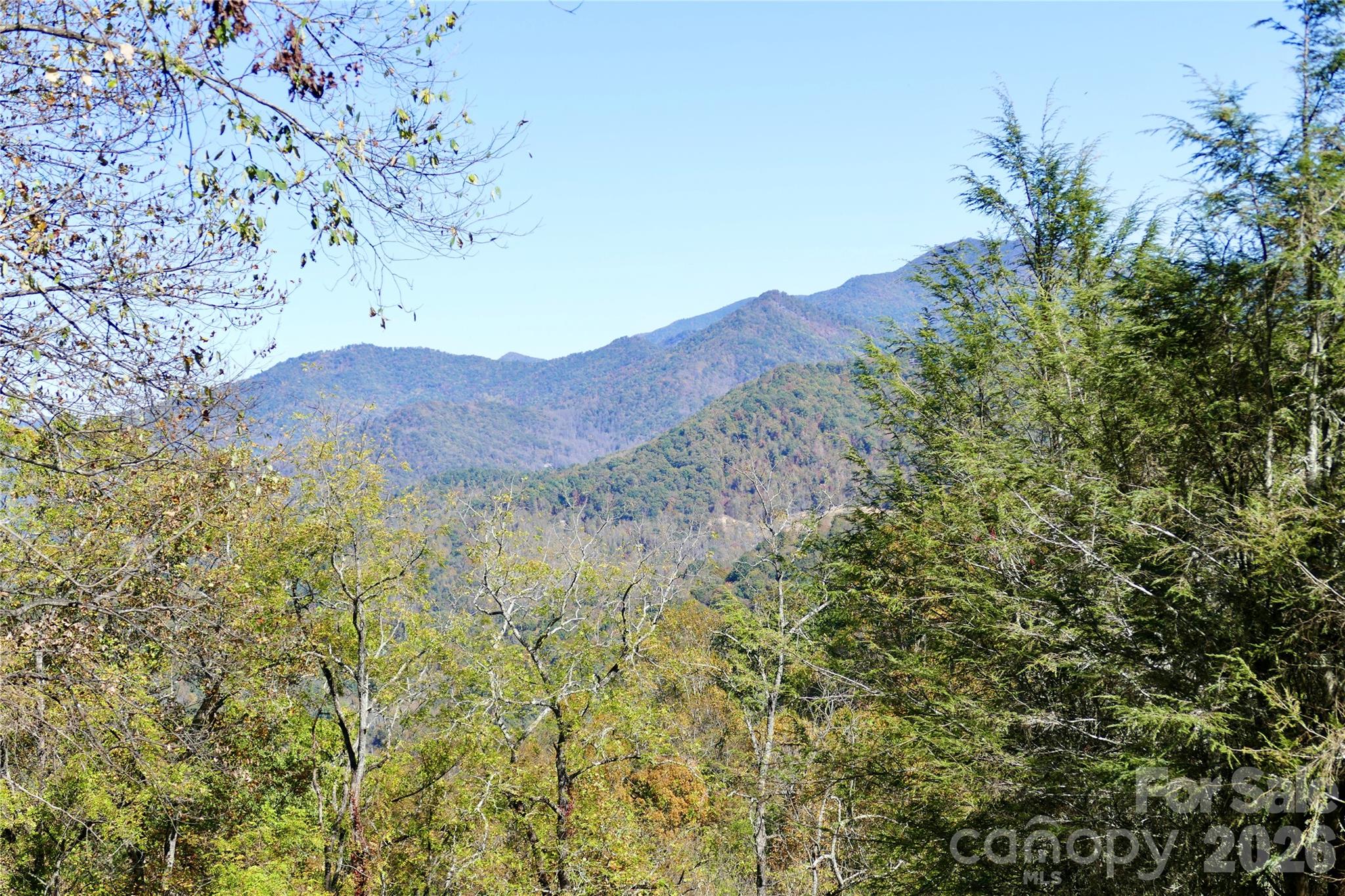 Lot 509 Multiflora Way Unit: 509
