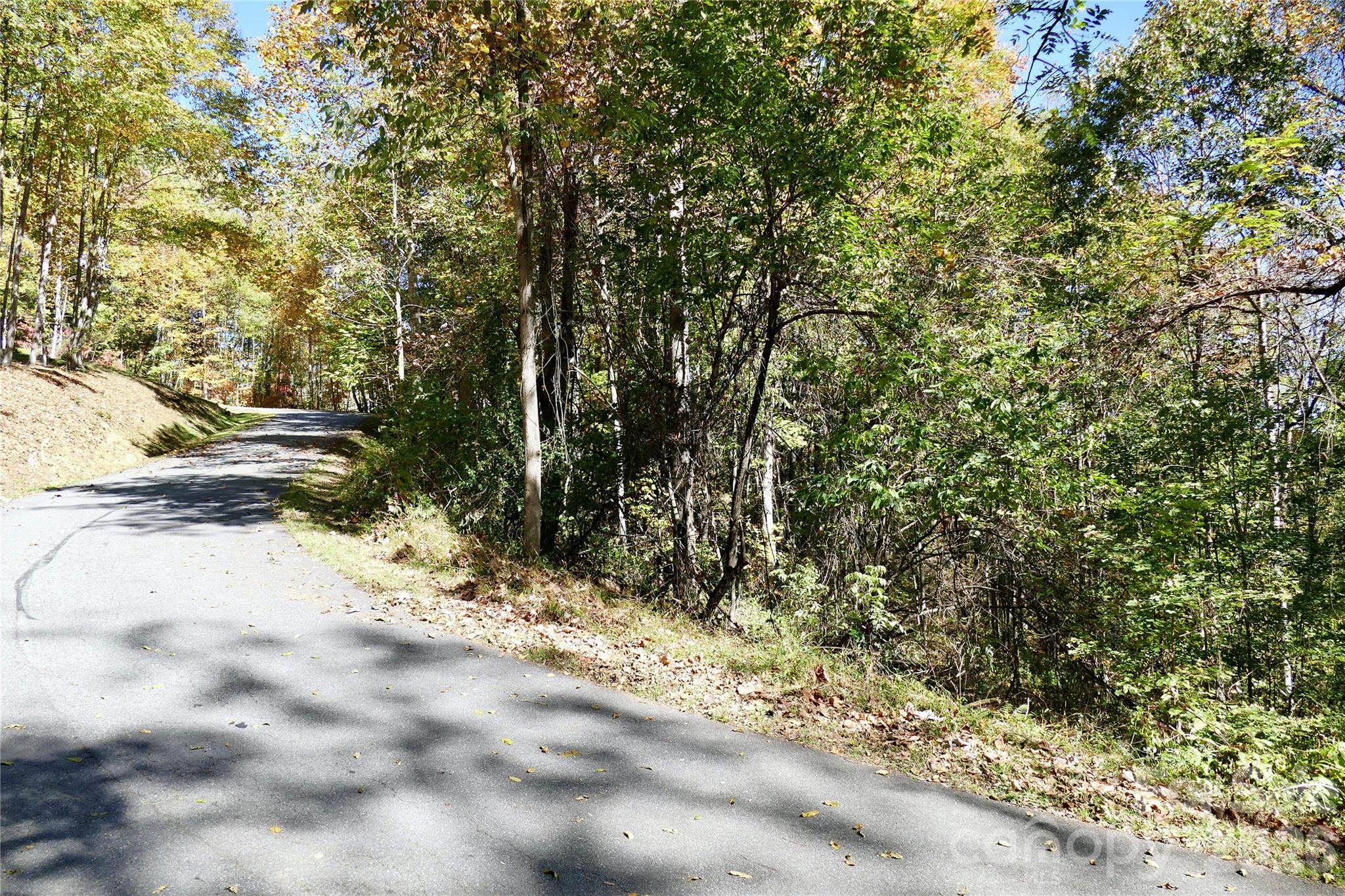 Lot 509 Multiflora Way Unit: 509