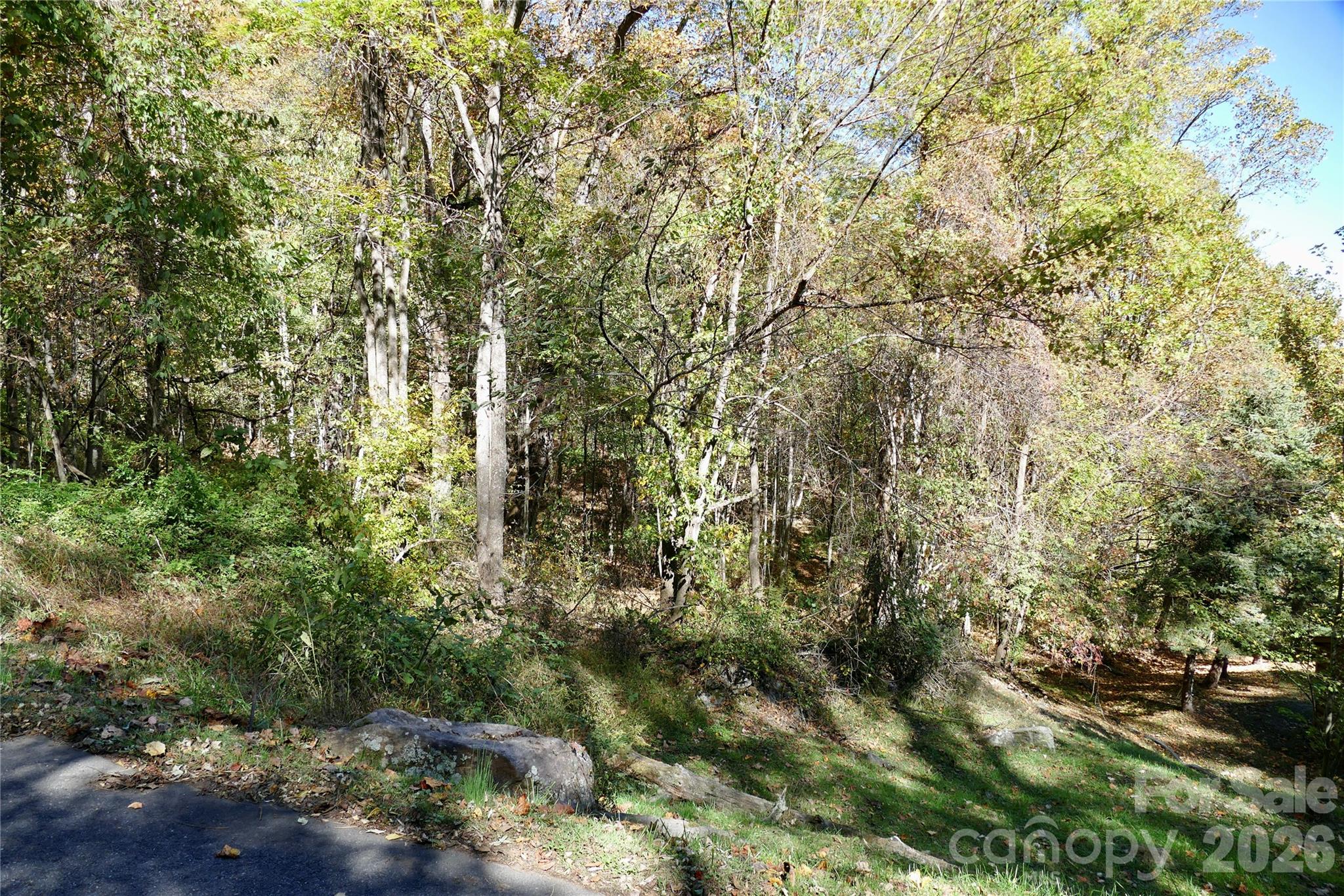 Lot 509 Multiflora Way Unit: 509