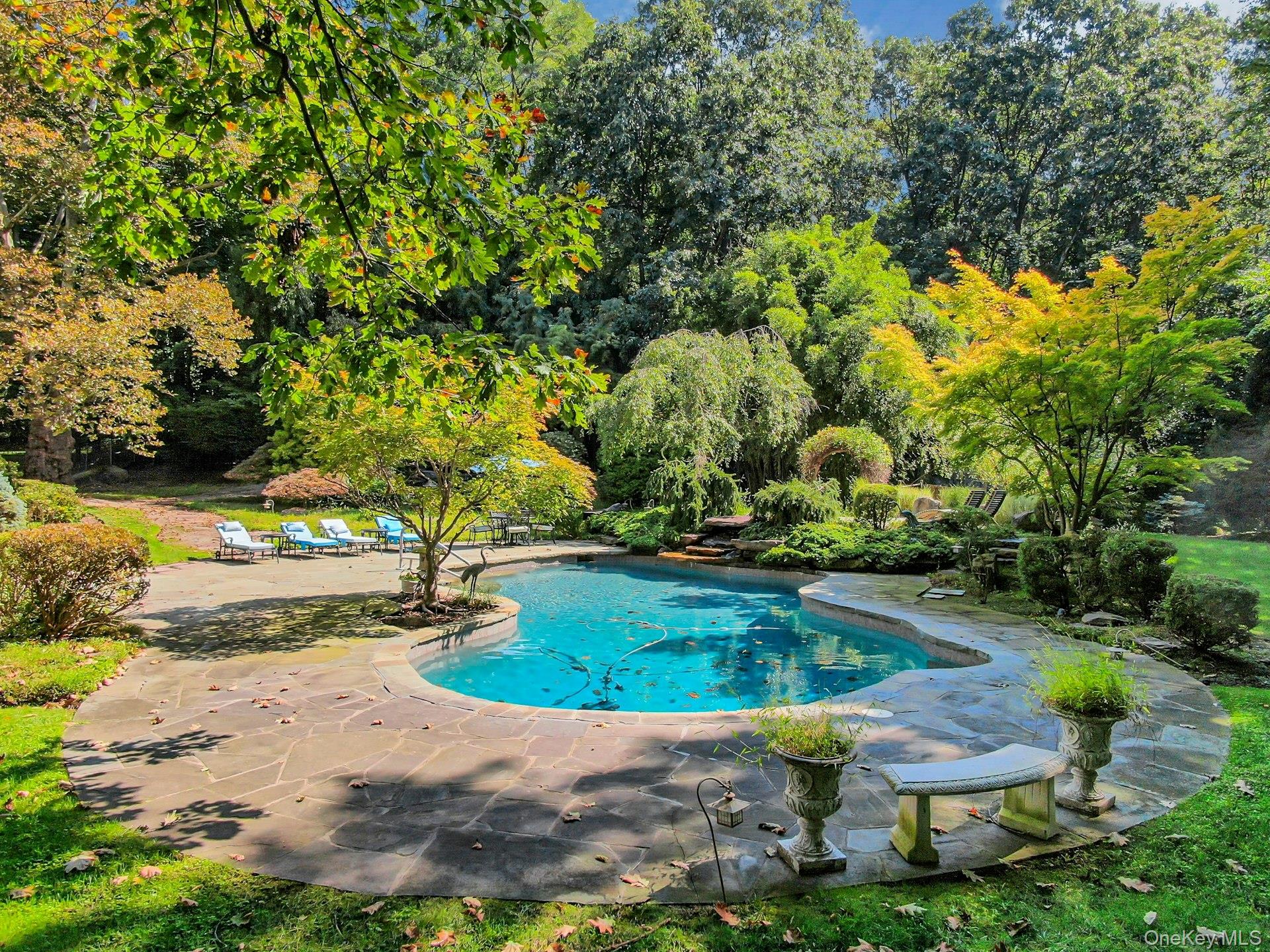 Backyard pool with a curved stone patio, lounge chairs, and mature trees.