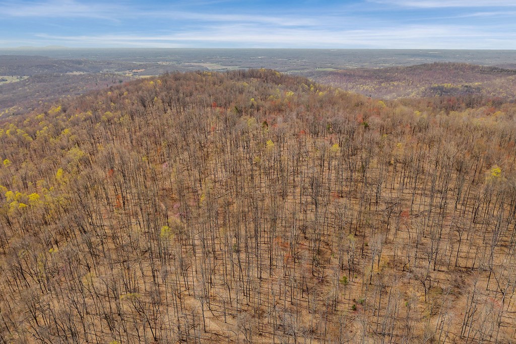 00 White Oak Flatt Rd