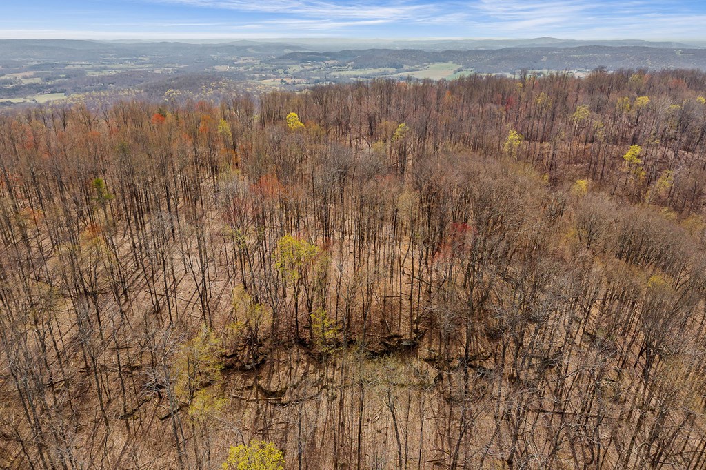 00 White Oak Flatt Rd