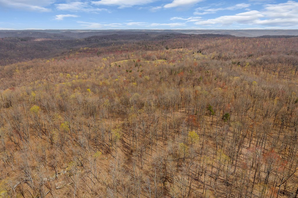 00 White Oak Flatt Rd