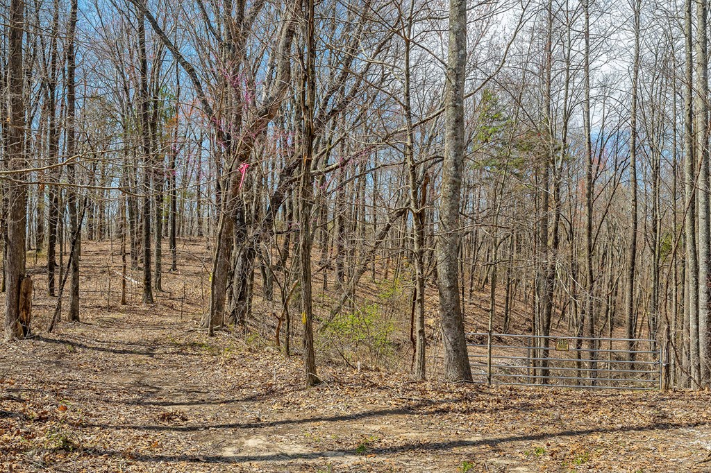 00 White Oak Flatt Rd