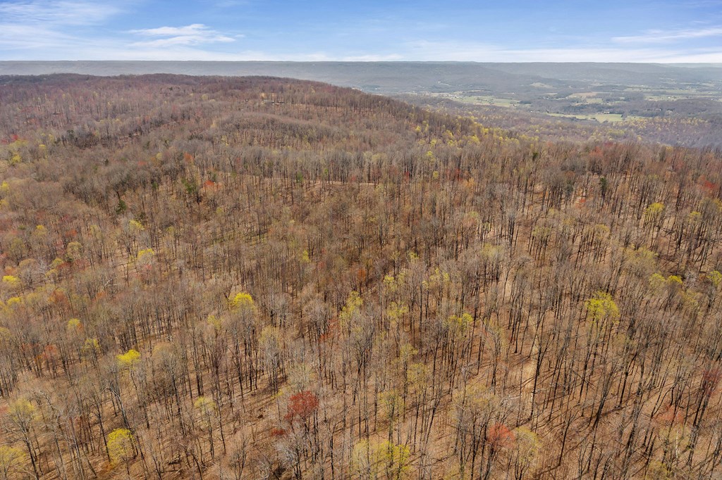 00 White Oak Flatt Rd