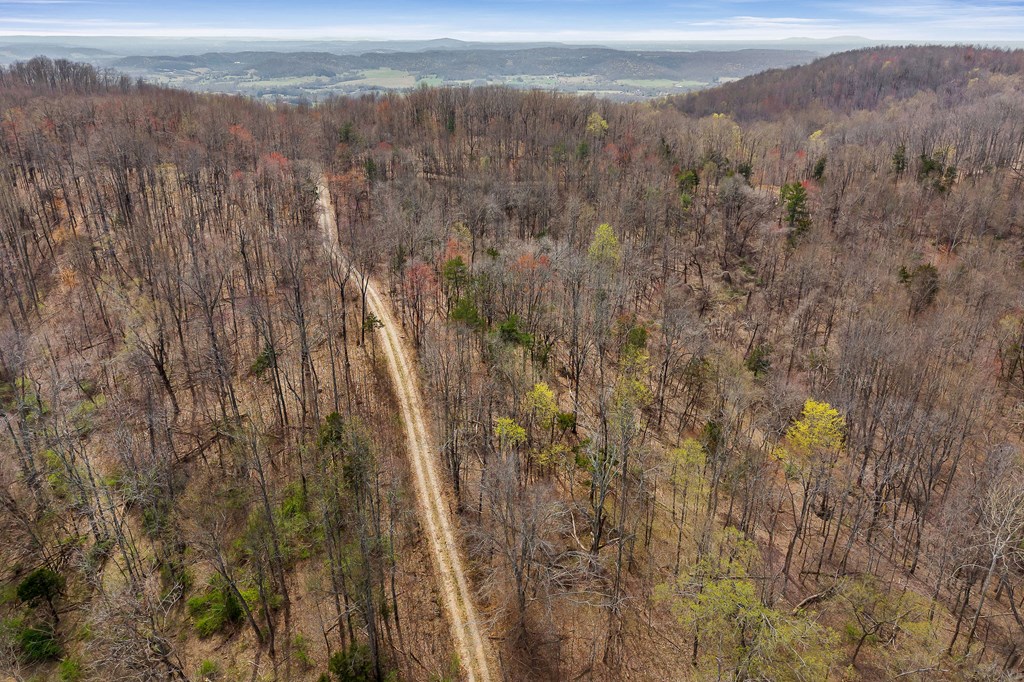 00 White Oak Flatt Rd