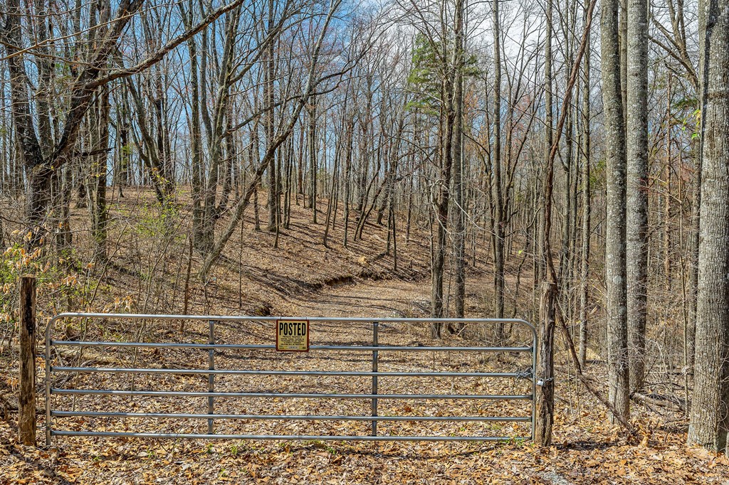 00 White Oak Flatt Rd