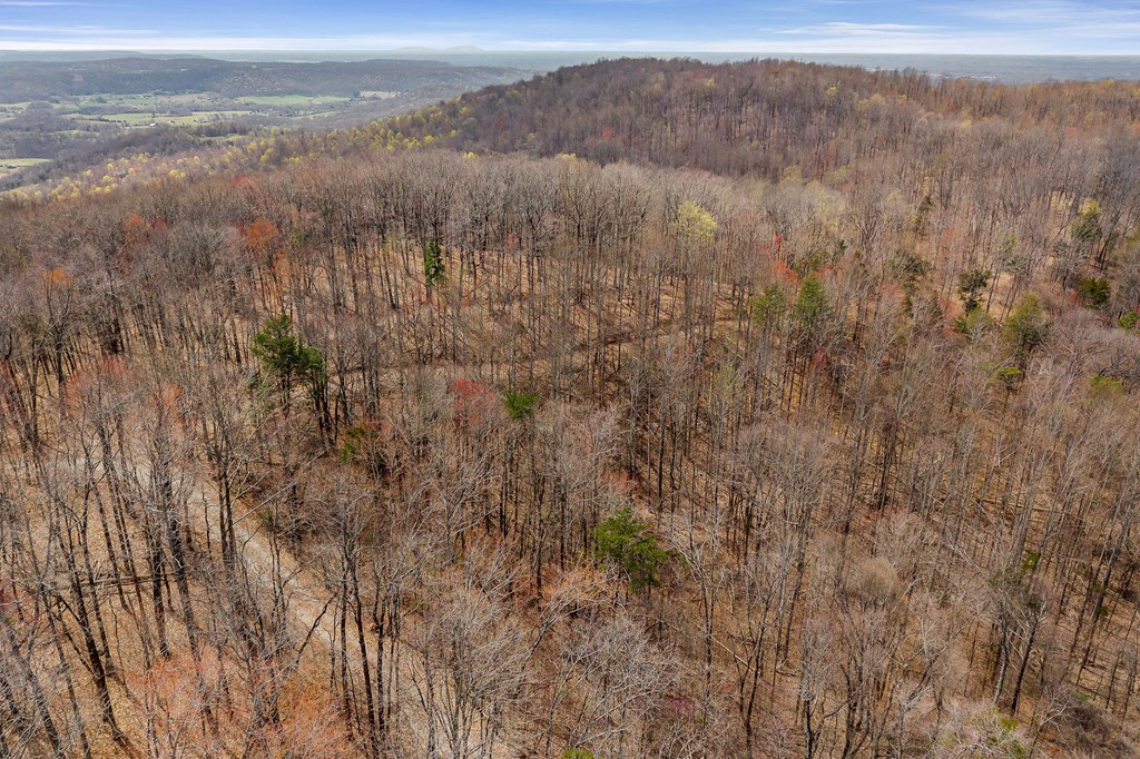 00 White Oak Flatt Rd