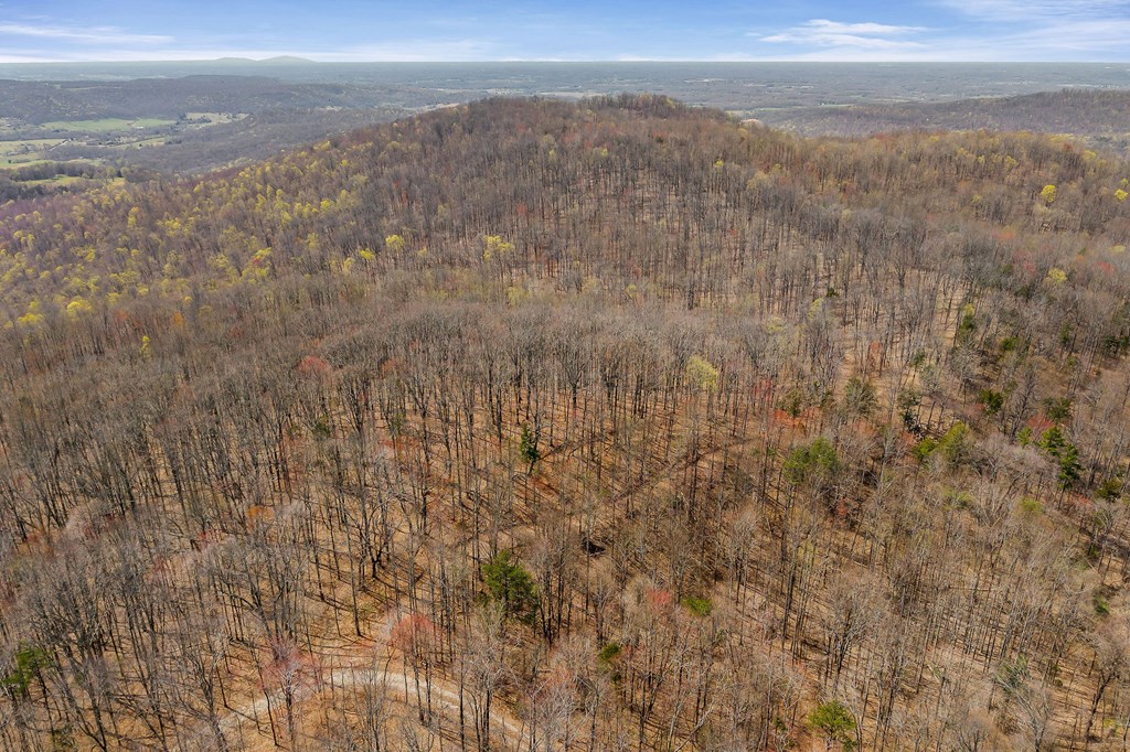 00 White Oak Flatt Rd