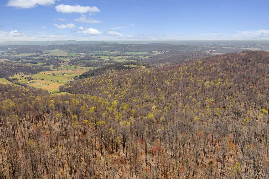 00 White Oak Flatt Rd