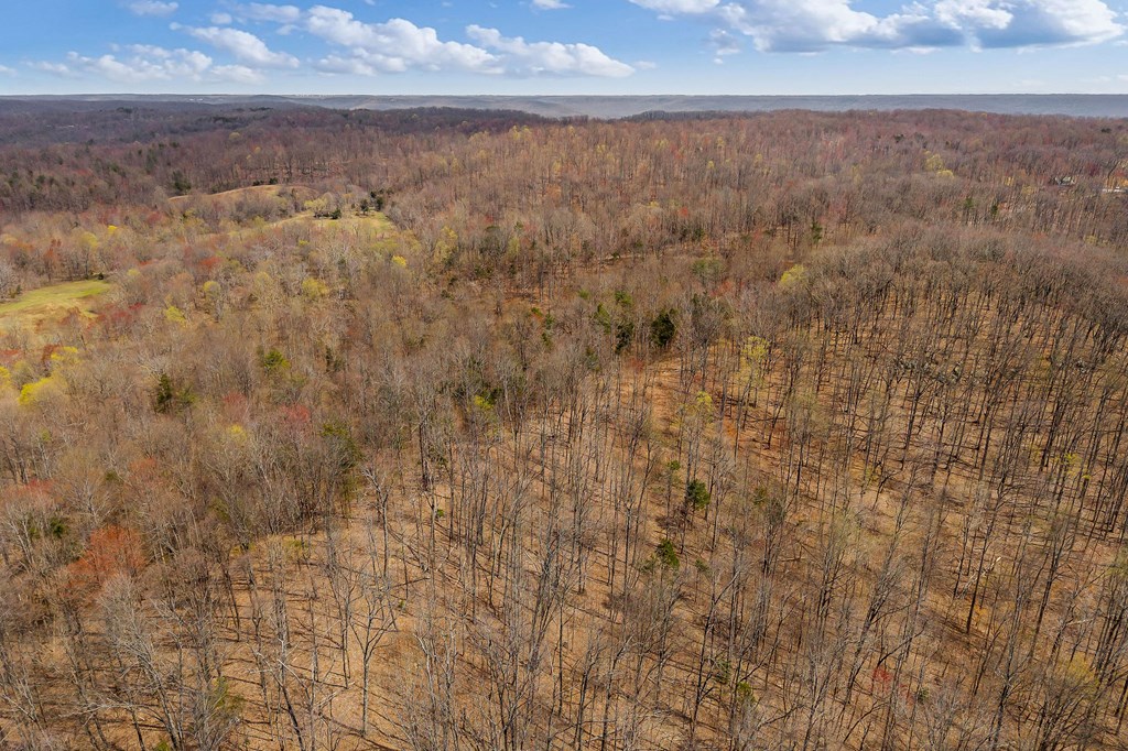 00 White Oak Flatt Rd