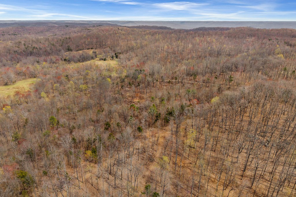 00 White Oak Flatt Rd