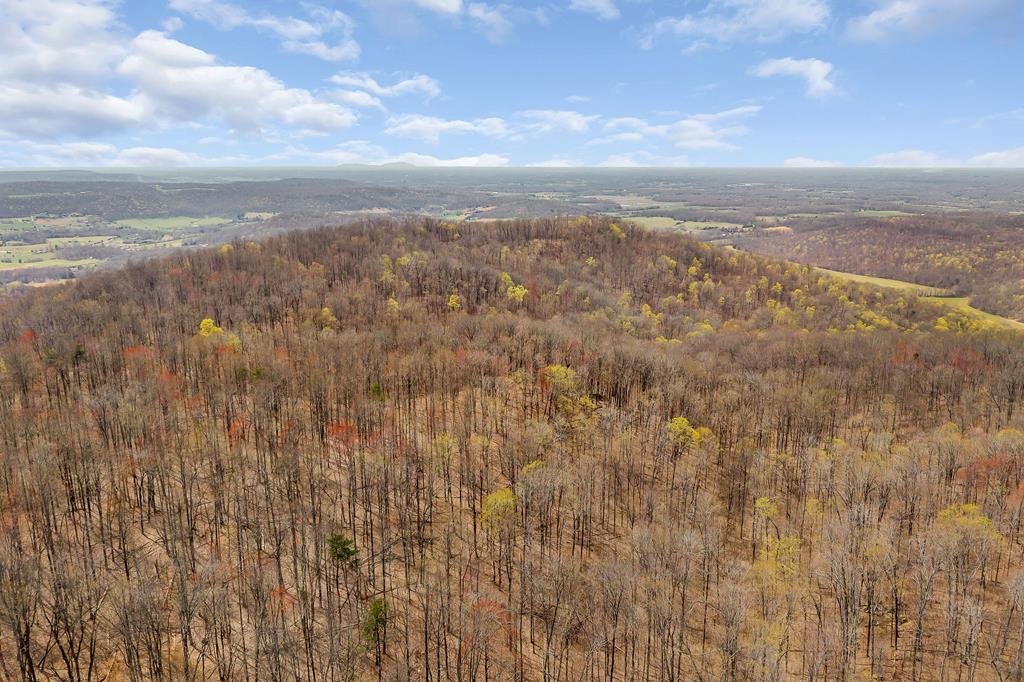 00 White Oak Flatt Rd