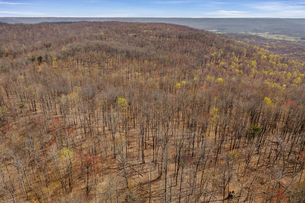 00 White Oak Flatt Rd